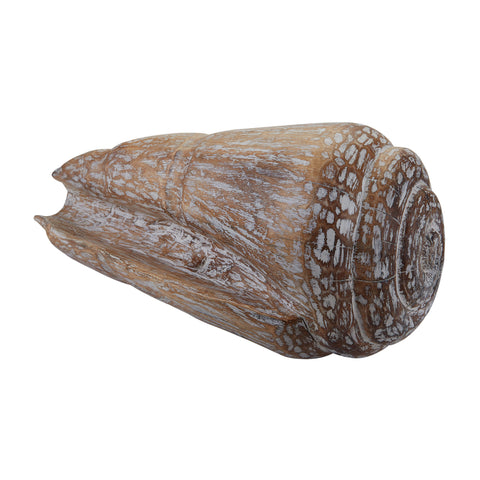 Wooden Cone Shell
