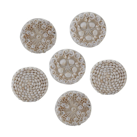 Set of 6 Shell Coasters
