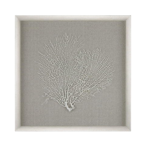 Sea Fan Wall Décor