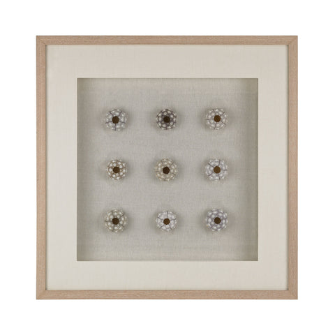 Sea Urchin Wall Décor