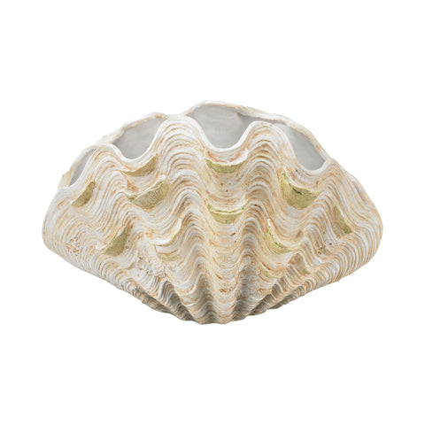 Cretaceous Shell Bowl