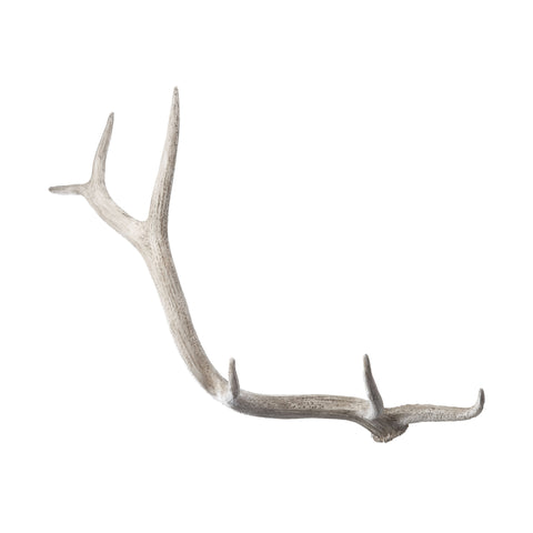 Weathered Resin Elk Antler 