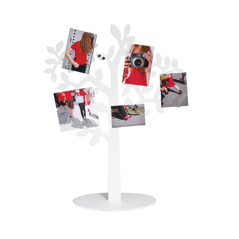 Laurel Photo Display White
