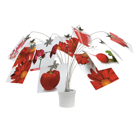 Petal Photo/Memo Holder White/Nickel