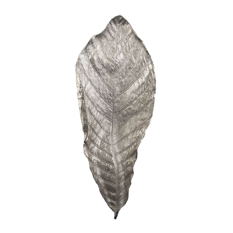 Colossal Silver Leaf 