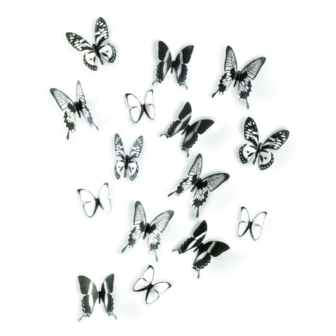 Chrysalis Wall Decor (16) Black/Clear