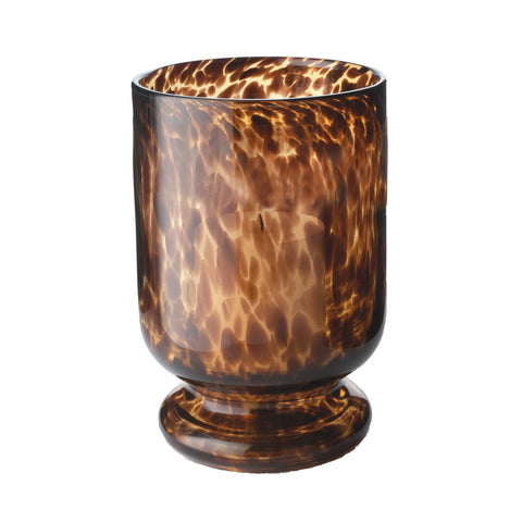 Tortoise Hurricane - Sm 